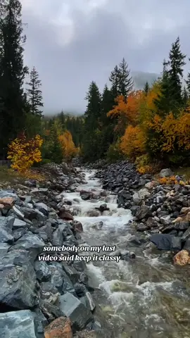 #onthisday #fyp #fypviral #foryoupage #foryoupageofficiall❤️❤️tiktok 