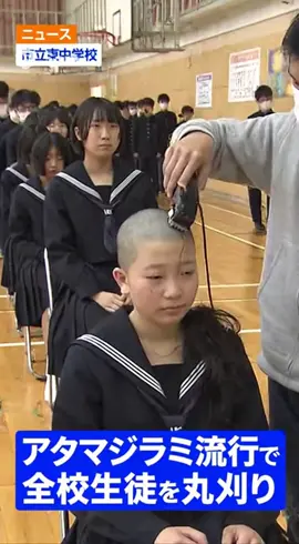 某市の中学校によるアタマジラミ対策の集団断髪 #断髪 #坊主女子 #剃髪 #丸刈り #断髪動画 #hairshave #haircut 
