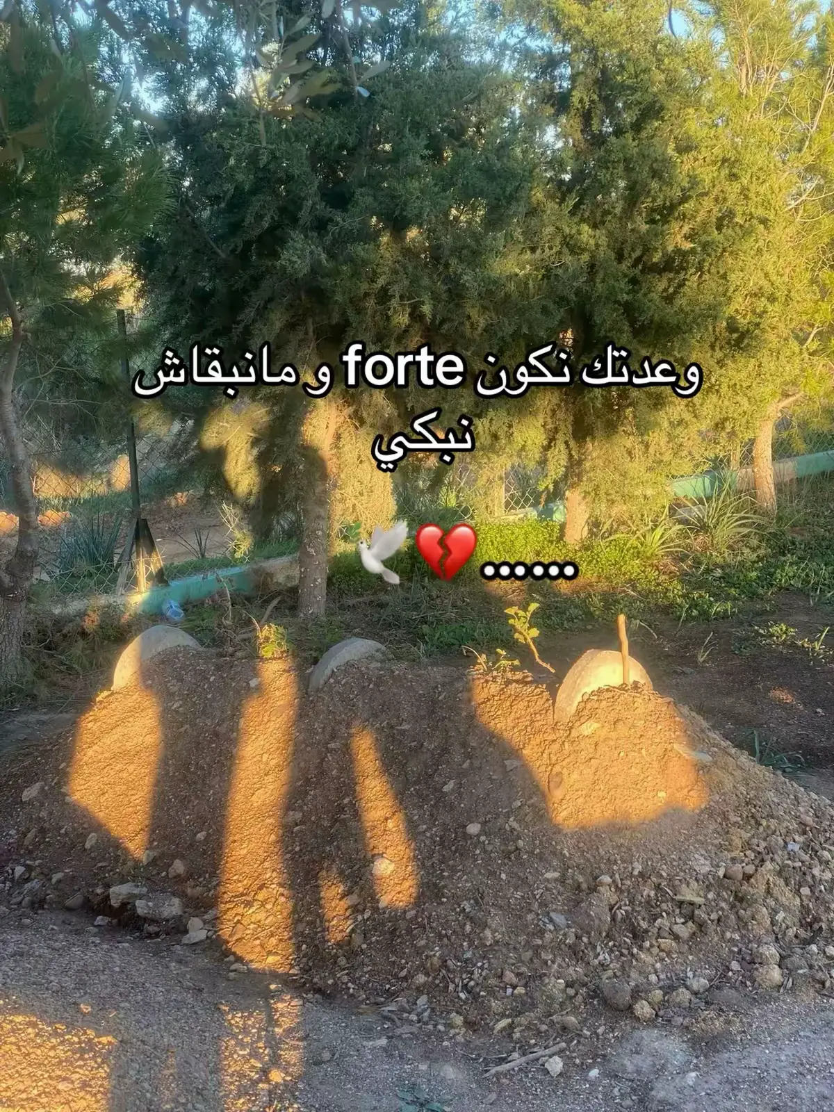 💔💔😭  #ماما  #fyp #explor 