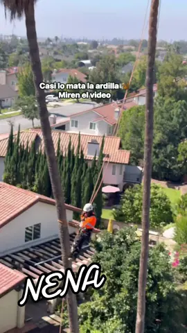 JAJAJA LA ARDILLA#😂😂😂😂😂😂😂😂😂😂😂😂😂😂😂😂😂😂😂😂 #😂😂😂😂😂😂😂😂😂😂😂😂😂😂😂😂😂😂😂😂 