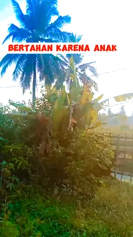 Bertahan karena anak.  #DemiAnakTersayang #BertahanUntukAnak #CintaTanpaBatas #KarenaAnakSemua #KuatDemiAnak