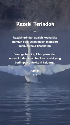 #🤍🕊️ 
