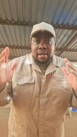 exactly awuthi yam ⛏️