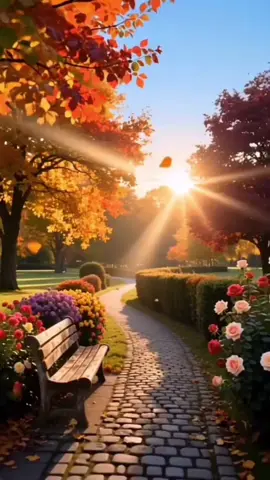 Nhạc phẩm  - NỢ EM MỘT ĐỜI .                                      Nông trại nho sữa Hoàng Việt .    Cô Bé và Ngoại Tôi . 