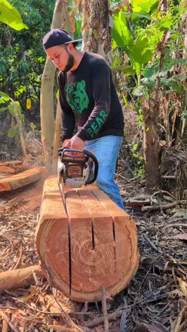 Aserrando madera con motosierra..!! #woodworking #woodwork #asmrvideo  #stihl #asmr 