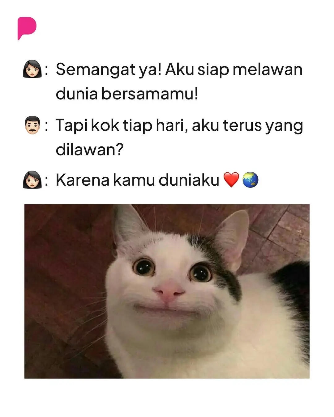 #fyp #catsoftiktok #kucingtiktok #4upage #kucinglucu 