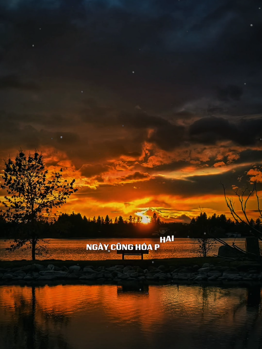 Nhẹ Lòng Mà Sống: #capcut #capcutpioneer #pioneertemplate #trend #tramblues 