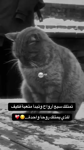 #لاتشاهد_وترحل_دعنا_نرى_لك_اثر_طيب🌹 #تصاميم_farah_al_hyaat #farah_al_hyaat #قهوتي_farah_al_hyaat🤎 #قهوتي_farah_al_hyaat🧡