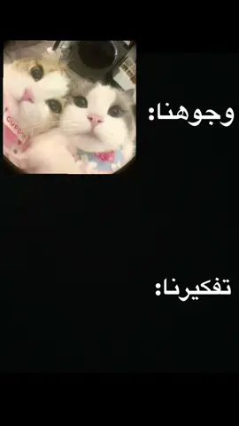 🐍؛ #fyp#fyppppppppppppppppppppppp #الشعب_الصيني_ماله_حل😂😂 #foryou #tiktok 