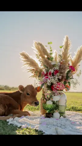 The youngest Herndon has officially proposed. 💜🥰💜 Southern Outlaw Photography Dunn, NC @Tyler Herndon @myke #proposal #weddingtok 