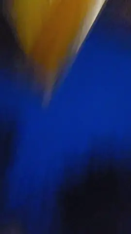 #goodmorning #grandcouncilofdoggo #foryoupage #nomadout #nocleanairdownthere 