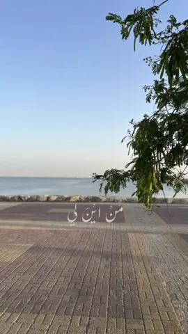 من اين لي ياسيدي تصفو حياتي #capcut  #explore  #creatorsearchinsights  #fyp  #2025  