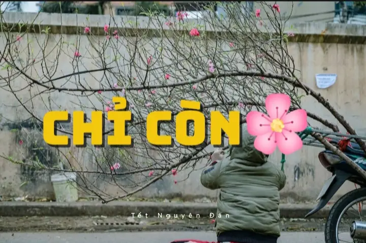 🎉🧧Hôm nay là Thứ Bảy ngày 25/10/2025 (Duong Lich) - 05/09 (Am Lich). Vậy là còn 114 ngày nữa là đến Tết Nguyên đán 2026🧨🌸🐎 #TikTokAwardsVN #tet2026 #tetbinhngo2026 #demnguocnammoi #thanhthoiluottet 