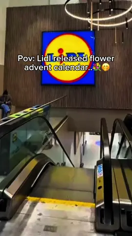 It’s so beautiful! #flowers #adventcalendar #legoflowers #legotok #flowergirl 