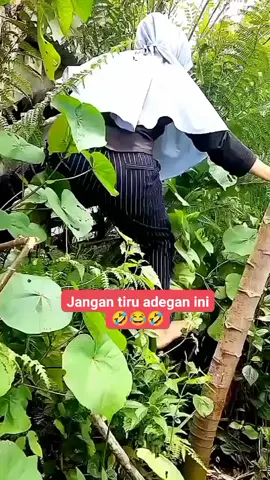 ketika ngambil buah pepaya, pedahal pakai kayu aja nyampe kok di panjat 🤭😜🤣🤣🤣