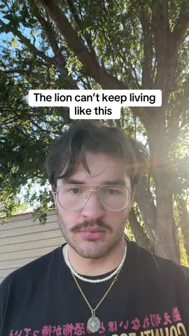 Anyway come see us in Indianapolis, Lexington, Huntington, and more this November  #lion #sadmusic #yallternative #western #MentalHealth 