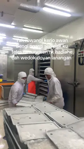 Mugo wae gk amin#fypシ゚ #cahkerjo 