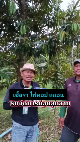 จบปัญหาเชื้อรา#ชาวสวน #ชาวสวนทุเรียนชุมพร #ทุเรียนหมอนทอง #ทุเรียน #เกษตรอินทรีย์ 