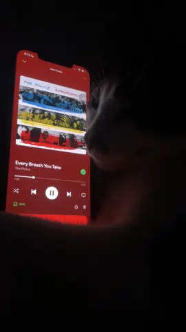 Every Breath You Take #thepolice #everybreatheyoutake #spotify #music #lyrics 