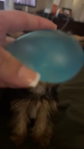 Needoh has me in a chokehold 🤣 #fidgettoys #needoh #anxietysquad #fyp #foryoupage 