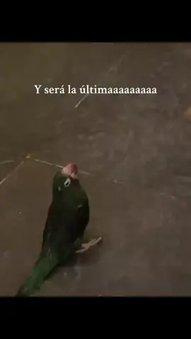 #elhombrenoesgente #matrix #fanstasmas #baladas #pedronavaja 