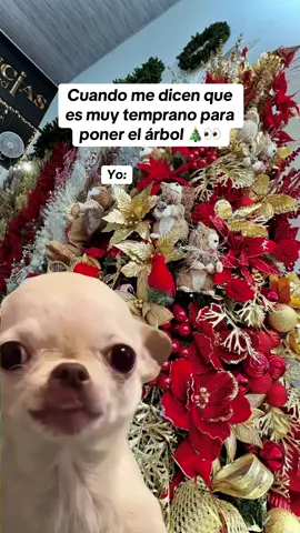Yo pongo la Navidad cuando quiera 🤭 . . . . #humor #navidad2025 #videosgraciosos #navidadentiktok #christmastiktok 