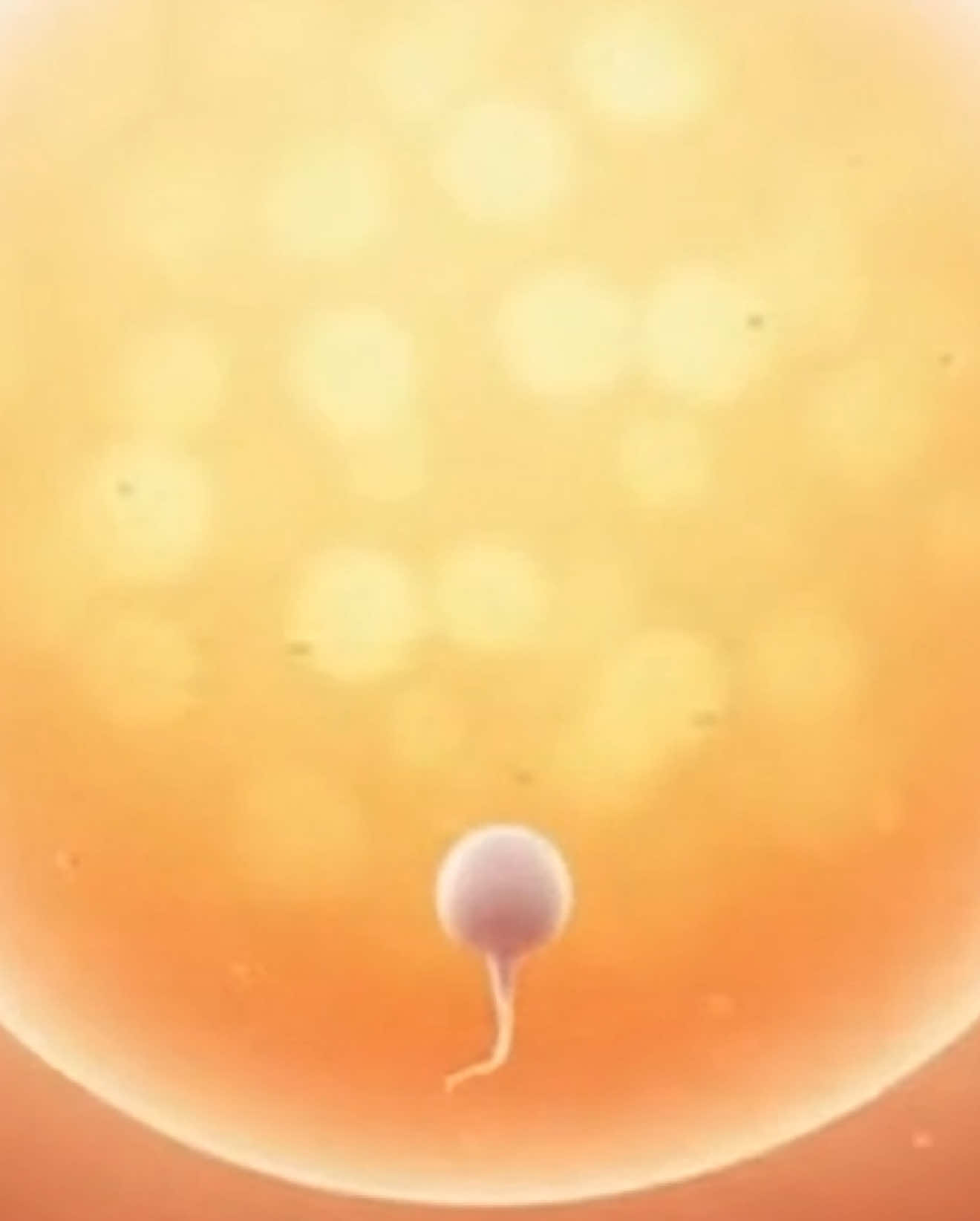 Lonely 😭 The race part 2 #sora