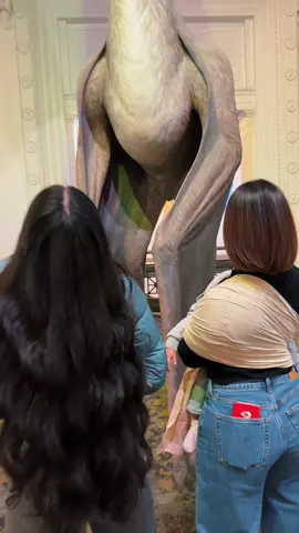 Oh wow 🦕 #chicago #chitown #fyp #dinosaur #motherdaughter 