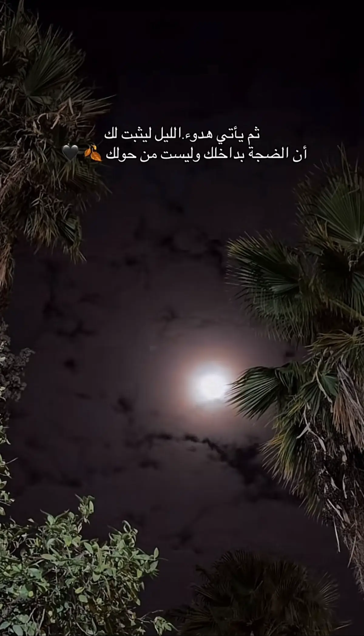 🌹 #خواطر #viral #اقتباسات  #fyp 🌹 #اكسبلورexplore 🌹 