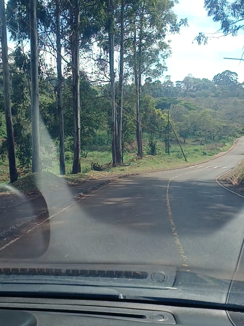 Road Therapy: Kapenguria Road, Lower Kabete.  Kenya. #Nature #road #Trees 