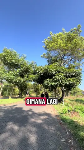 Mau diet malah takut 😩😩😩#fyppplpppppppppppppppppppp 