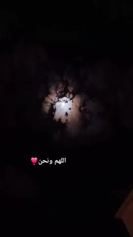 اللهم بلّغ قلوبنا مناها🤍🌿 #قران_كريم #الشيخ_ياسر_الدوسري  #يارب #اكسبلورexplore 