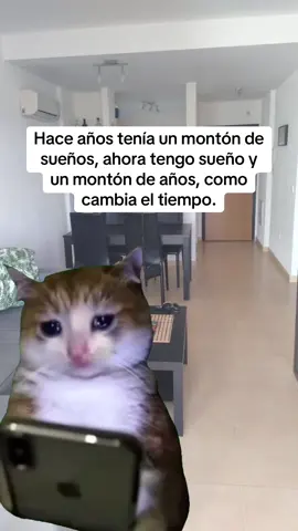 Antes tenía un montón de sueños #Meme #MemeCut #memes #humortiktok #humor 