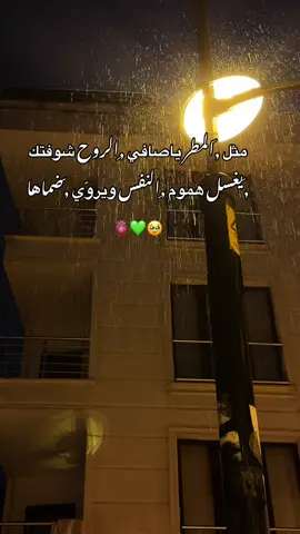 ريحة مطر واسطنبول وعيونگ..💚🫀#تصويري_احترافي_الاجواء👌🏻🕊😴 #مالي_خلق_احط_هاشتاقات🧢 #طالعوني_اكسبلور_وتابعوني #لايك__explore___ #ثائر__theking 