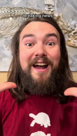 A new sword fish like Icthyosaur has just been discovered! 🗡️🐟 #Science #learning #dinosaurs #education #fossils 