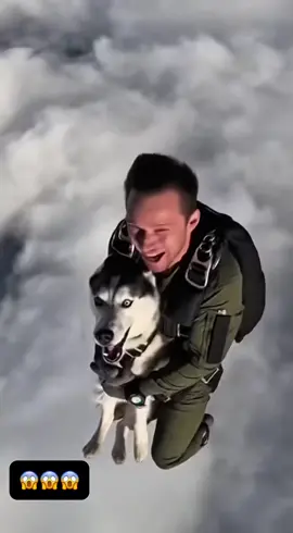 Too high! It feels great!!! #DogTok #pets #dog #FaithfulDog #LoyalDog 