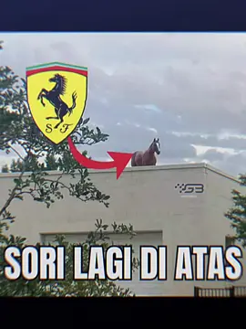 lets go baby gacorr😈 #charlesleclerc #ferrari #mexicogp #formula1 