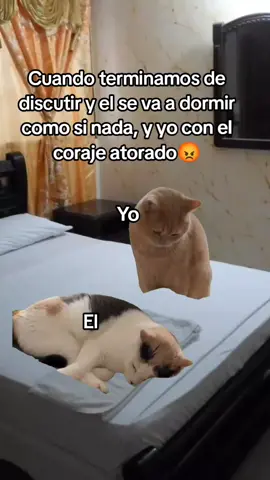 #CapCut #fyp #MemeCut 