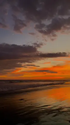 vibes de 2019 #fyp #playa #atardecer #callaita #badbunny 