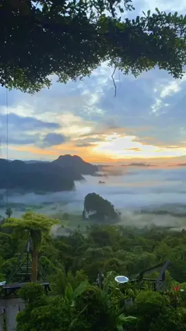 วันนี้ไทม์แลป์ ณ. บ้านทะเลหมอก ภูลังกา พะเยาบ้านเฮา #สตอรี่ความรู้สึก #เทรนกระแสมาแรงวันนี้ #fyp #อย่าปิดกั้นการมองเห็น #ขึ้นฟีดเถอะขอร้อง 