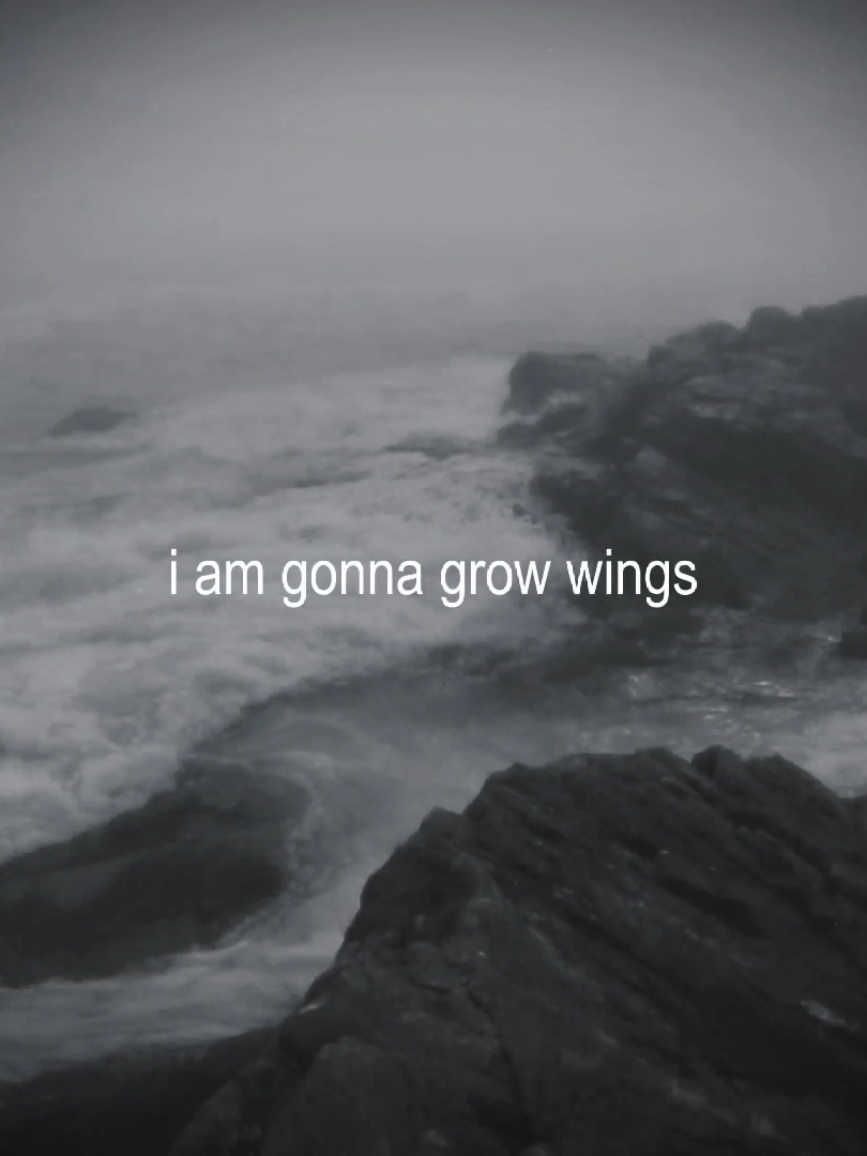 let down - radiohead || #nowplaying #radiohead #letdown #oneday #wings #angel #music #video #fyp #foryou #tiktok #viral #xyzbca #followme  #song #music #musicvideo #lyrics #video  #edit #текст #песня #музыка  #fup #elbruso #rge #virsl #or #pyf #follow 