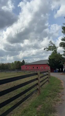 Perfect place to learn what farm life is all about @awadsfarmofficial #njactivities #horse #njfarms #farmlife #fallactivities 