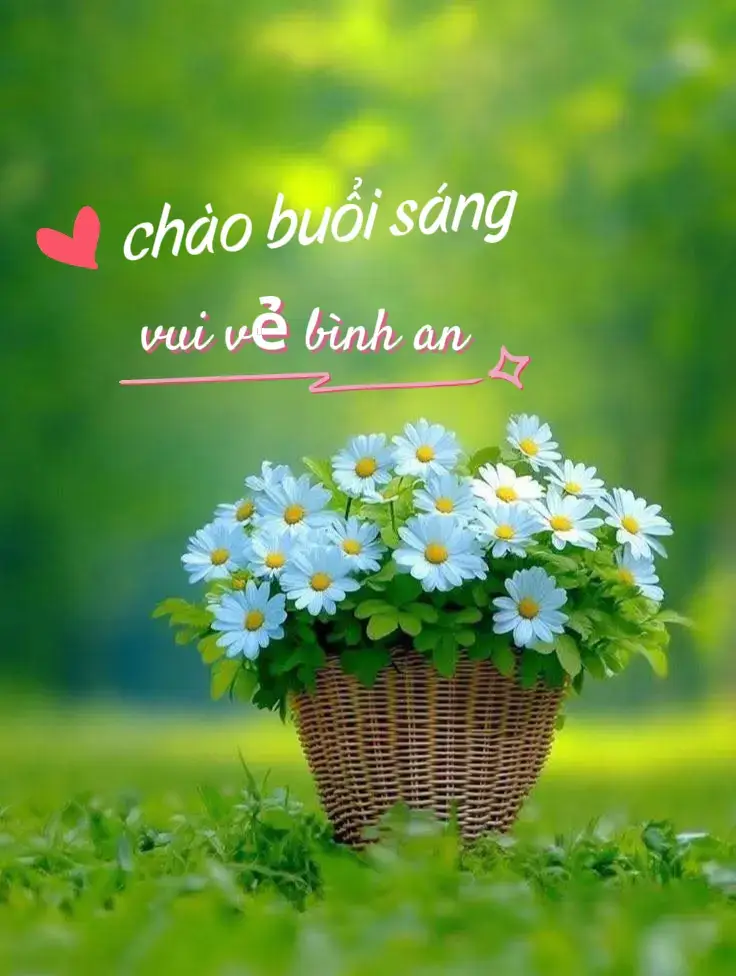 #giaitritiktok #xuhuongtiktok2025🥰 