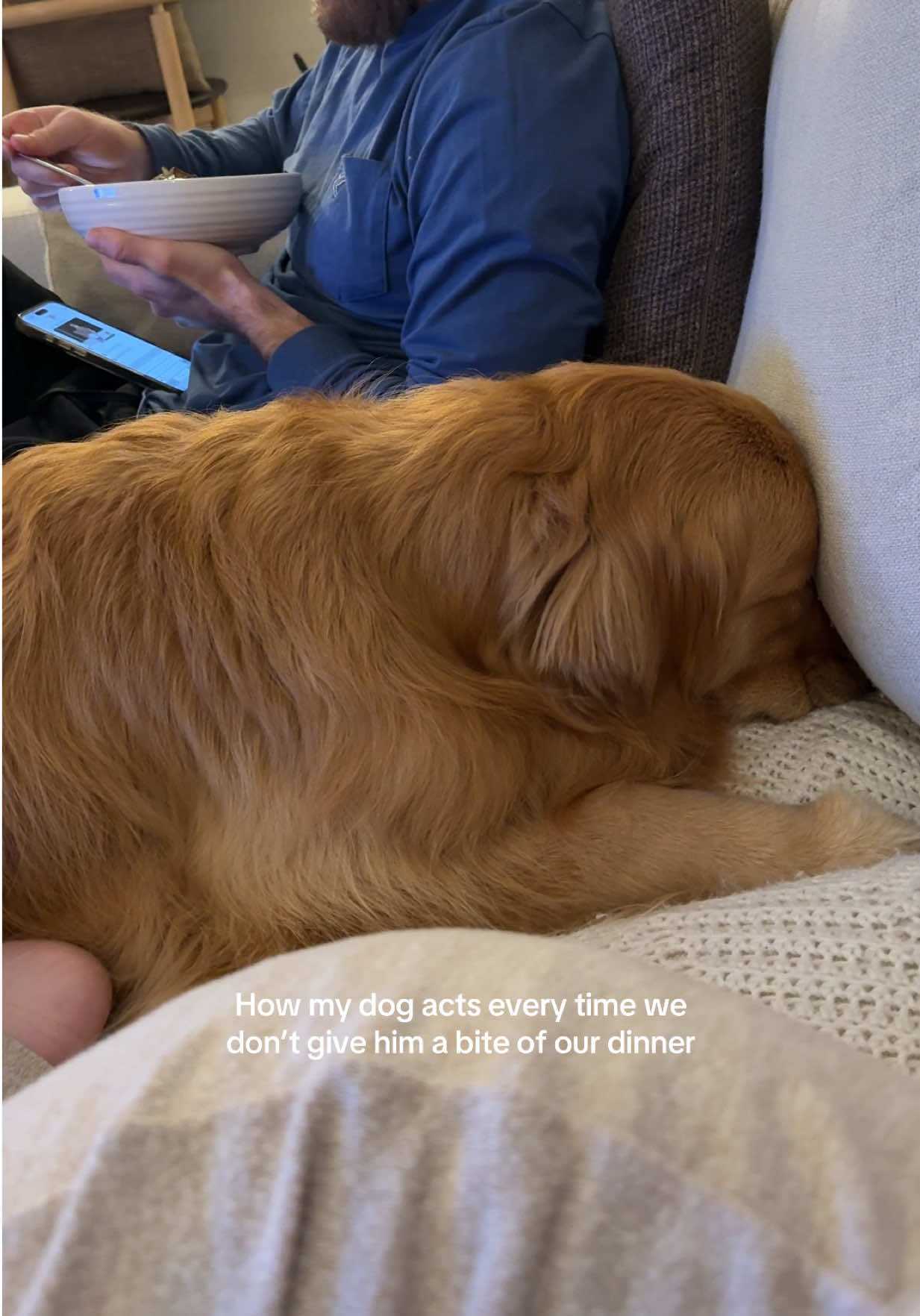He takes things very personally 🙃#goldenretriever #dogsoftiktok 
