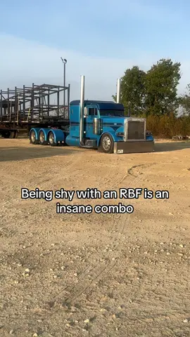 It gotta be a crime 😂 #peterbilt #379 #caterpillar #fyp #foryoupage 