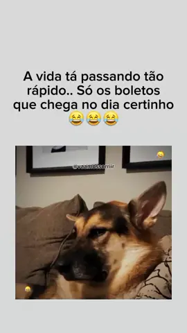 😂😂😂😂😂 . . #memes😂 #humortiktok #memesbrasileiros😂 #videosengracados😂 #melhoresmemes 