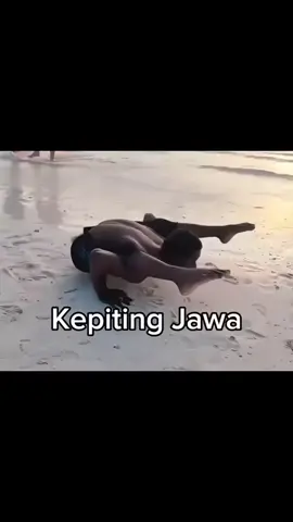 Crabs in java #MLBB9TH #MLBB 
