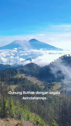 Gunung Buthak via Panderman Total 9 jam pendakian : Basecamp - Sabana 8 jam Sabana - Puncak 1 jam #gunungbuthak #mbatu #gunung #fpyシ #foryoupage #xbcyza #ndaki #Hiking #buthakviapanderman  #buthakmountain  #buthak_2868_mpdl 
