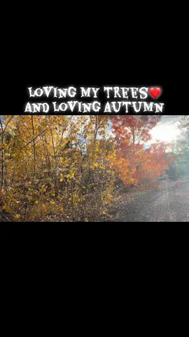 #season #fall #myfavorite #nevada #happyheart 