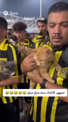 #الهاشتاقات_للشيوخ #ترند #اكسبلور #ti̇ktok #explore 